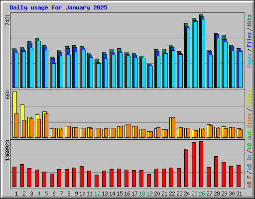 Daily usage for January 2025