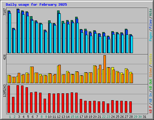 Daily usage for February 2025