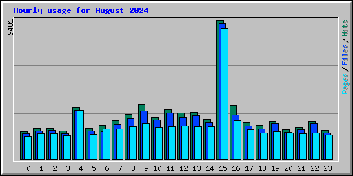 Hourly usage for August 2024