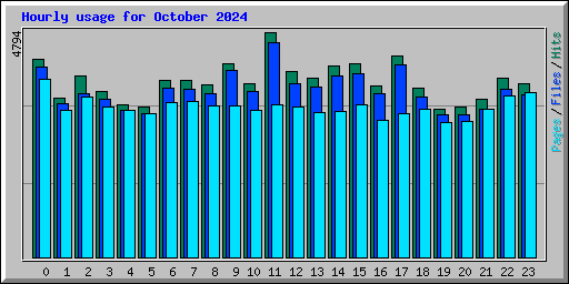 Hourly usage for October 2024