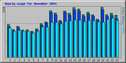 Hourly usage for November 2024