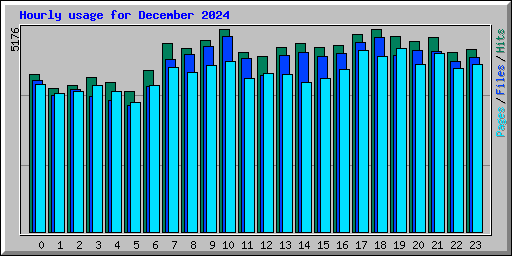 Hourly usage for December 2024