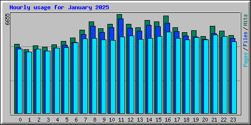 Hourly usage for January 2025