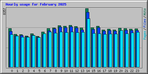 Hourly usage for February 2025