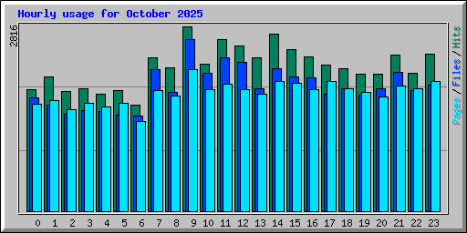 Hourly usage for October 2025